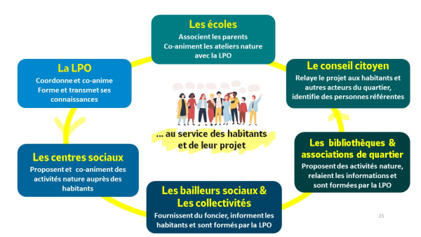 Illustration représentants les acteurs du programme Plus de nature dans mon quartier : écoles, conseil citoyen, bibliothèques et associations de quartier, bailleurs sociaux et collectivités, centres sociaux, la LPO